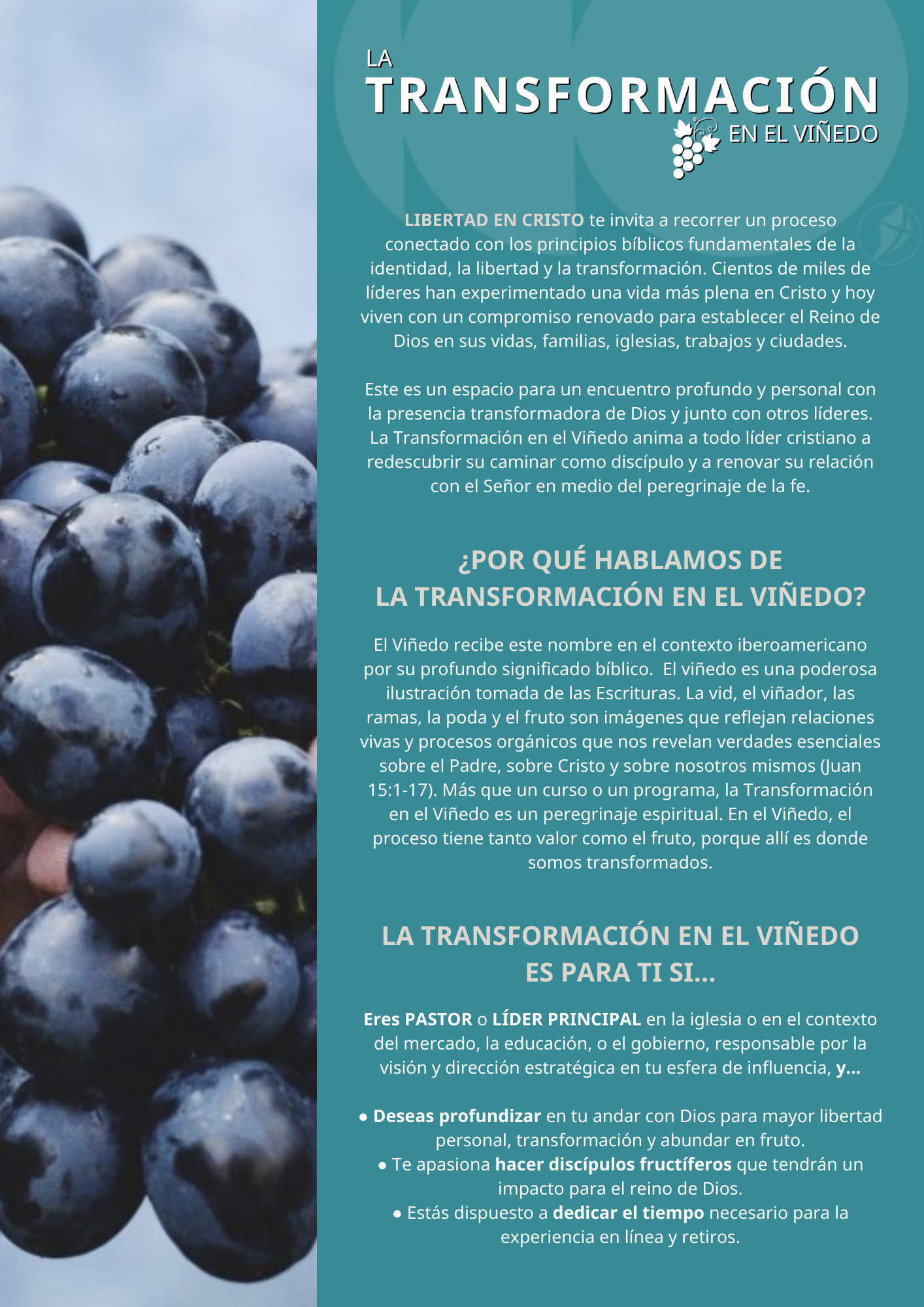 sitio web 2 (2)